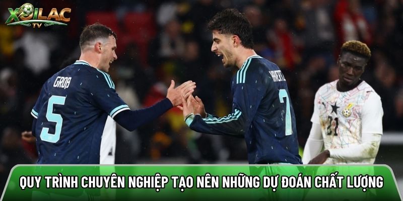Quy trình chuyên nghiệp tạo nên những dự đoán chất lượng
